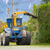 Fayetteville Tree Service