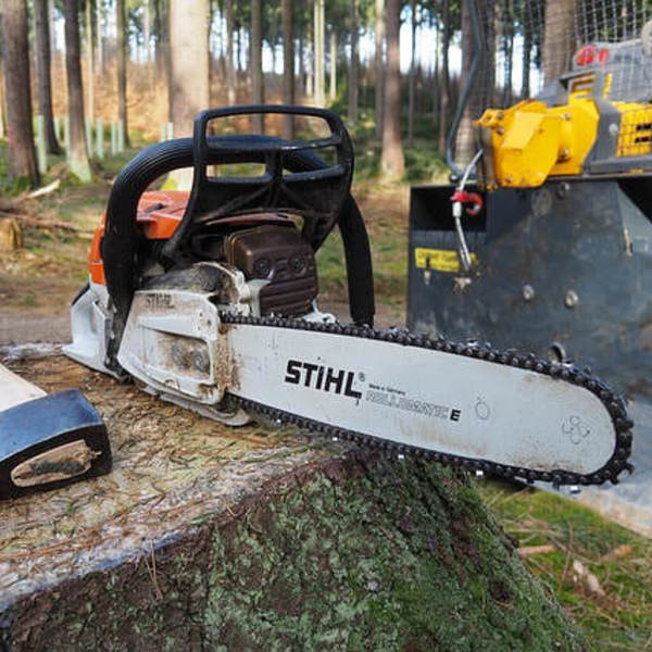 Downers Grove Tree Service - Downers Grove Tree Service - Photo (59100)