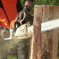 Downers Grove Tree Service - Downers Grove Tree Service - Photo (59101)