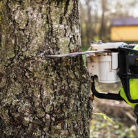 Downers Grove Tree Service - Downers Grove Tree Service - Photo (59103)