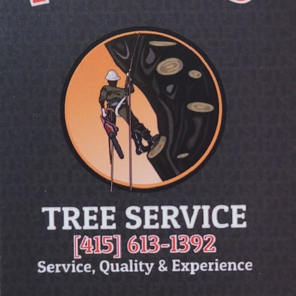 Photos of Our Business - Pineda's Tree Service - Photo (60404)