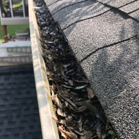 Portfolio - Guru Gutter Cleaning Decatur - Photo (62600)
