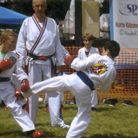 Rocky's Dojo & Gym at Sugar Grove's Corn Boil - Photos of Our Business -  Rocky's Dojo & Gym