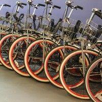 Photos of Our Business - American Bicycle Rental Company - Photo (64333)