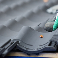 Photos of Our Business - Delta Roofing - Photo (64644)