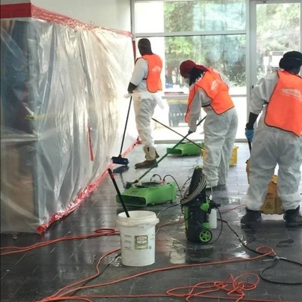 Photos of Our Business - Servpro of North Richland Hills - Photo (64851)