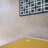 After Carpet Cleaning