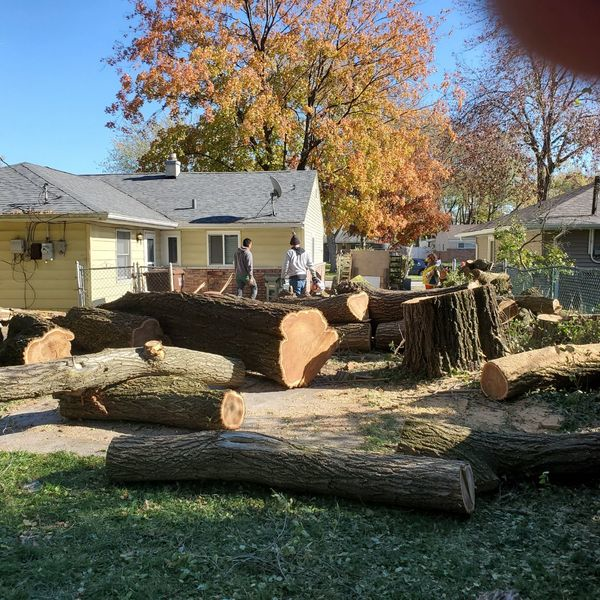 Photos of Our Business - Mid City Tree Service - Photo (69755)