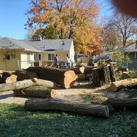 Photos of Our Business - Mid City Tree Service - Photo (69755)