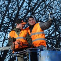 Photos of Our Business - Mid City Tree Service - Photo (69756)