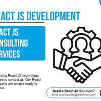 React JS Consulting