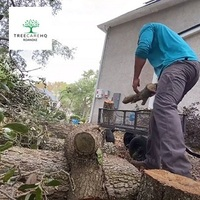 Photos of Our Business - TreeCareHQ Roanoke - Photo (70896)