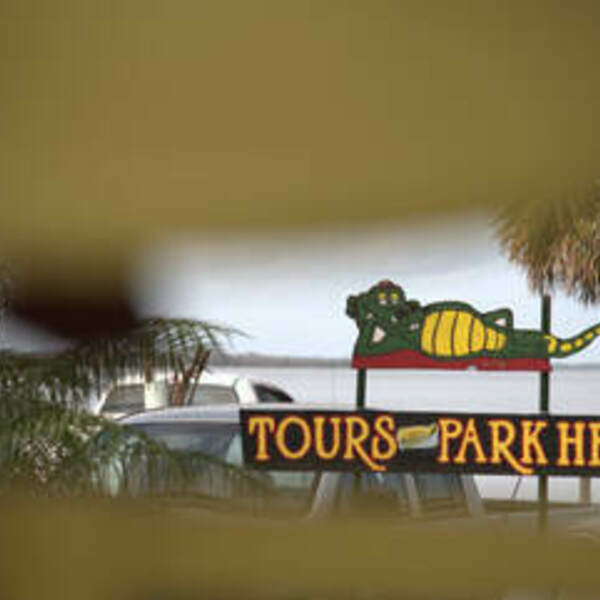 Kissimmee Swamp Tours - Kissimmee Swamp Tours - Photo (71085)