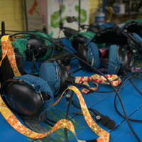 Kissimmee Swamp Tours - Kissimmee Swamp Tours - Photo (71089)
