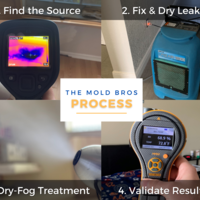 The Mold Bros Process
