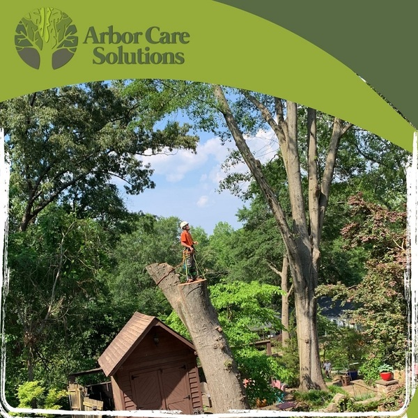 Photos of Our Business - Arbor Care Solutions - Photo (73238)