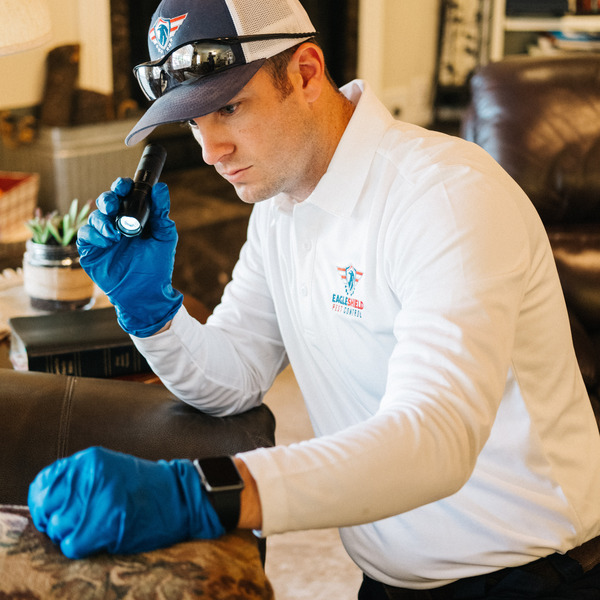 Photos of Our Business - Eagleshield Pest Control - Photo (73516)
