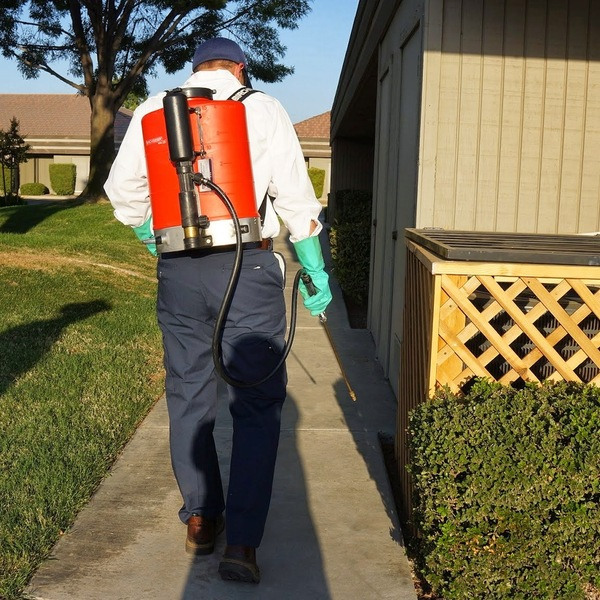 Photos of Our Business - Eagleshield Pest Control - Photo (73517)