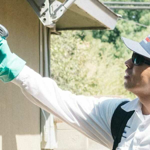 Photos of Our Business - Eagleshield Pest Control - Photo (73519)