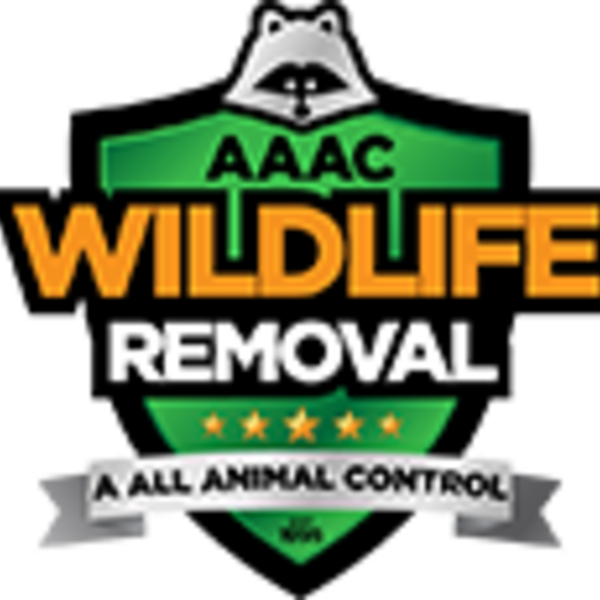 Photos of Our Business - Aaac Wildlife Removal of Florence - Photo (74597)
