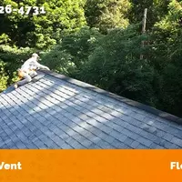 Photos of Our Business - Aaac Wildlife Removal of Florence - Photo (74598)