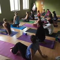 River-Falls-Vinyasa-Yoga-Classes-at-Inspiring-Action-Yoga - Photos of Our Business -  Inspiring Actions Yoga