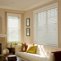 Blinds Installation