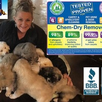 Carpet cleaner near me