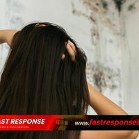 Photos of Our Business - Fast Response Cleaning & Restoration - Photo (81925)