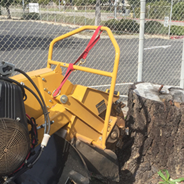 Trees N Scapes Unlimited - Trees N Scapes Unlimited - Photo (83226)