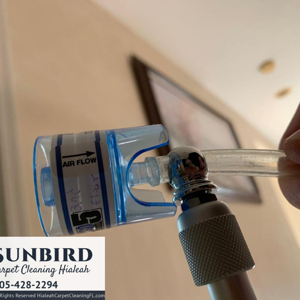 Portfolio - Sunbird Carpet Cleaning Hialeah - Photo (85225)