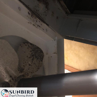 Portfolio - Sunbird Carpet Cleaning Hialeah - Photo (85226)
