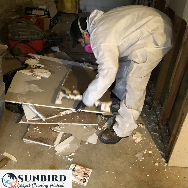 Portfolio - Sunbird Carpet Cleaning Hialeah - Photo (85230)