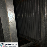 Portfolio - Sunbird Carpet Cleaning Hialeah - Photo (85231)