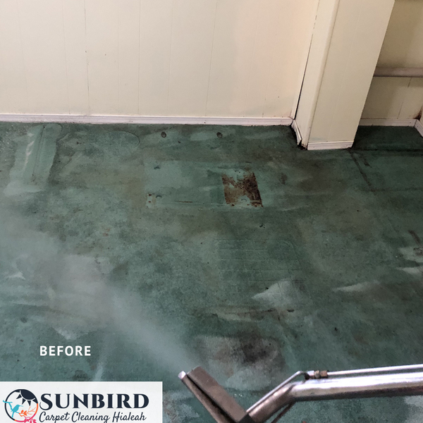 Portfolio - Sunbird Carpet Cleaning Hialeah - Photo (85232)