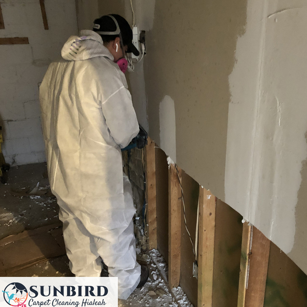 Portfolio - Sunbird Carpet Cleaning Hialeah - Photo (85233)