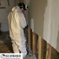 Portfolio - Sunbird Carpet Cleaning Hialeah - Photo (85233)