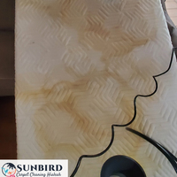 Portfolio - Sunbird Carpet Cleaning Hialeah - Photo (85234)