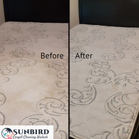 Portfolio - Sunbird Carpet Cleaning Hialeah - Photo (85235)