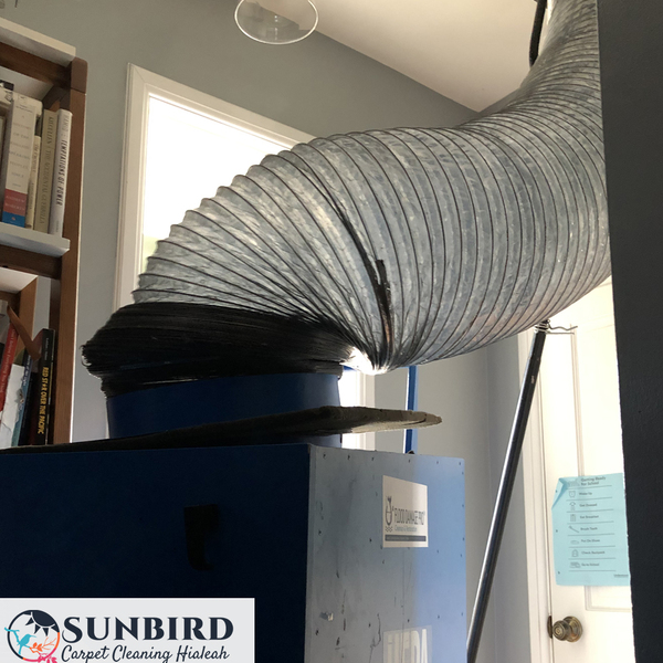 Portfolio - Sunbird Carpet Cleaning Hialeah - Photo (85236)