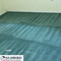 Portfolio - Sunbird Carpet Cleaning Hialeah - Photo (85237)