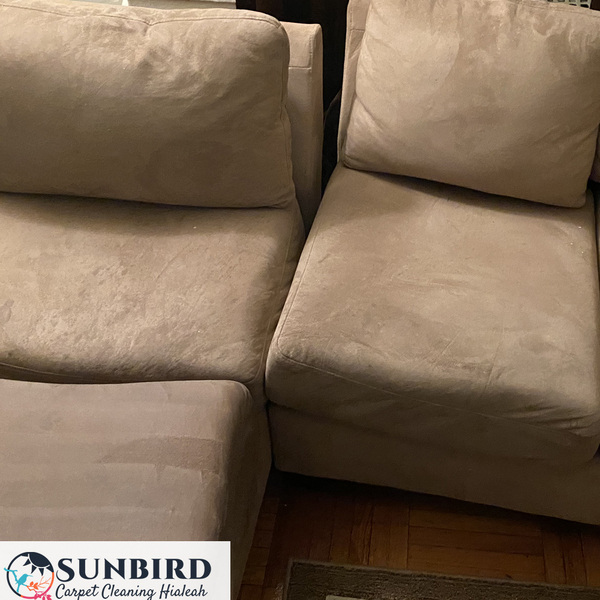 Portfolio - Sunbird Carpet Cleaning Hialeah - Photo (85241)