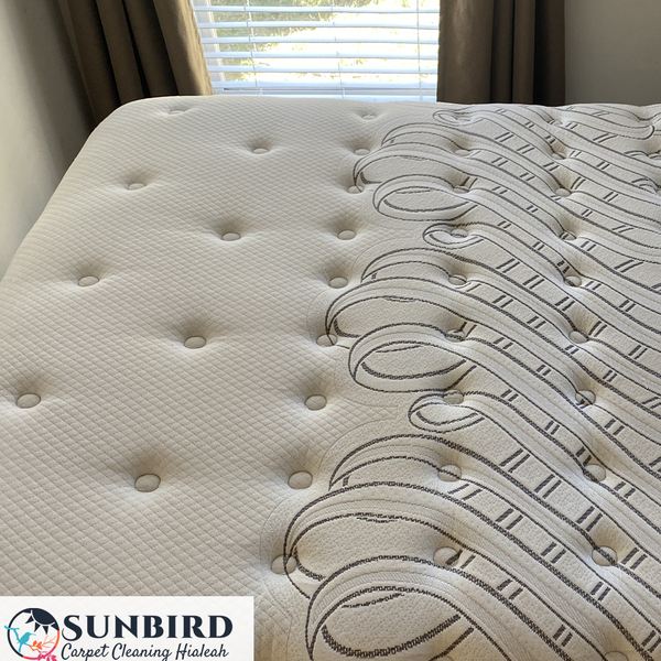 Portfolio - Sunbird Carpet Cleaning Hialeah - Photo (85249)
