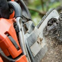 Photos of Our Business - Collins Tree Service - Photo (85560)