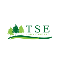 TSE