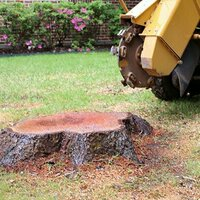 Photos of Our Business - Richardson Tree Service - Photo (89474)