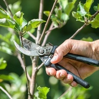 Photos of Our Business - Richardson Tree Service - Photo (89477)