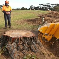 Photos of Our Business - Richardson Tree Service - Photo (89478)