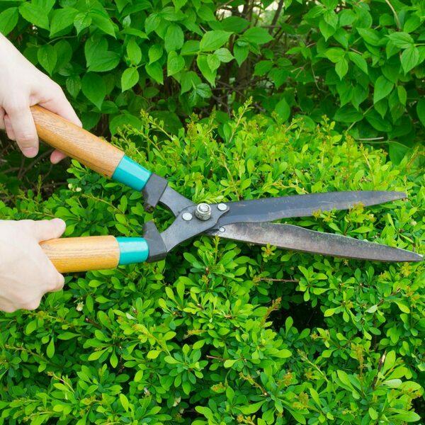 Photos of Our Business - Richardson Tree Service - Photo (89479)