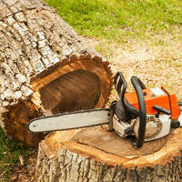 Photos of Our Business - Richardson Tree Service - Photo (89480)